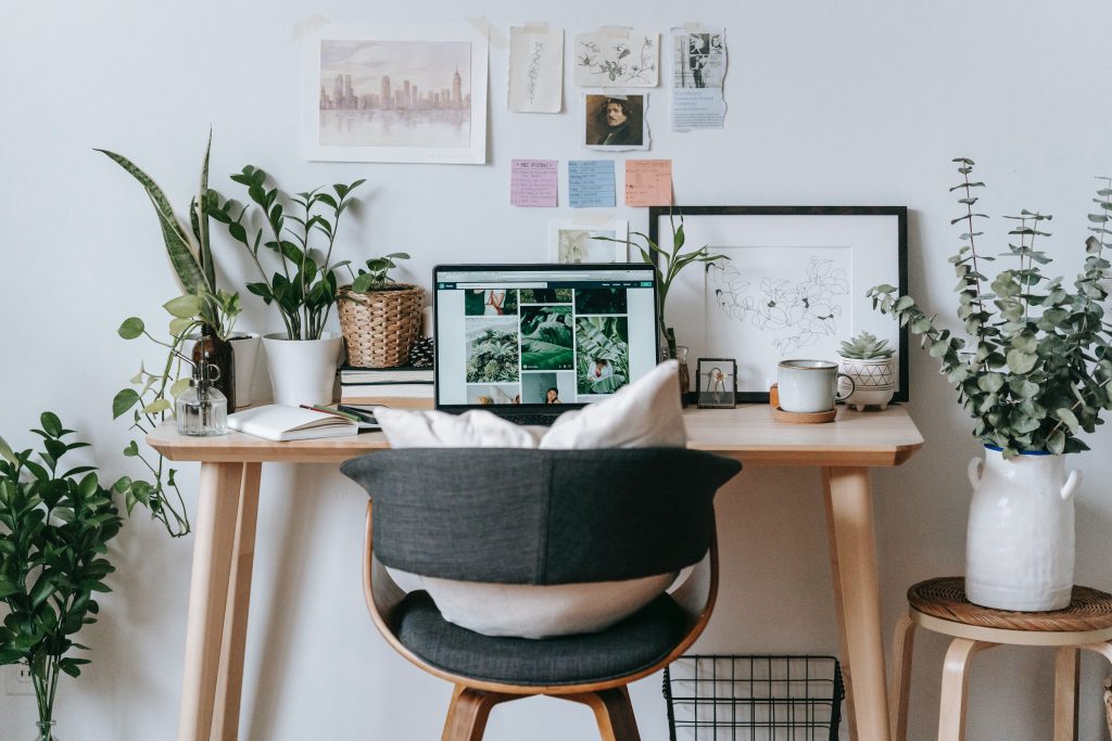 computer on desk surrounded by plants